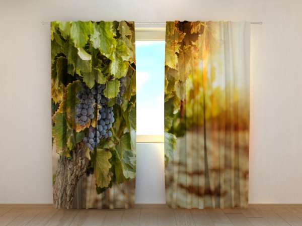 Photo curtain: AUTUMN GRAPES