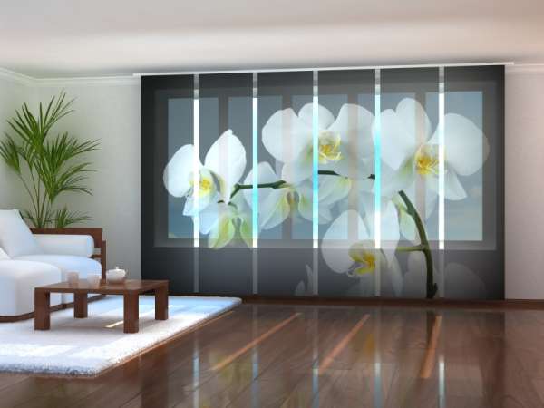 Sliding panel curtain (1-6 pts.): WILD ORCHID