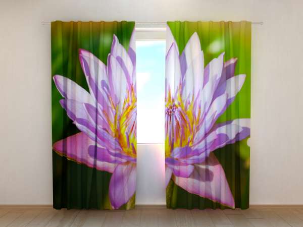 Photo curtain: BEAUTIFUL LOTUS