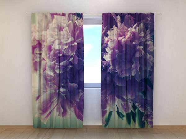 Photo curtain: BUNCH OF PEONIES
