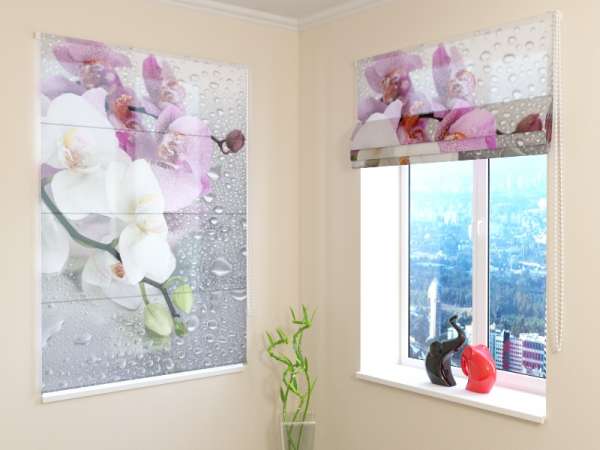 Roman blind: ORCHIDS AND RAIN