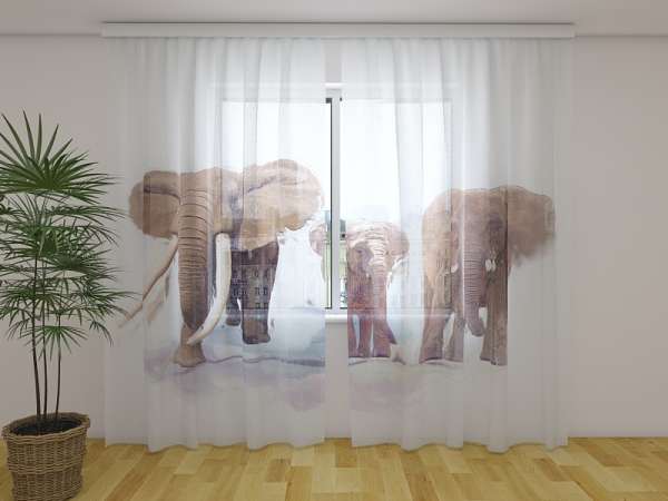 Chiffon curtain: ELEPHANT FAMILY