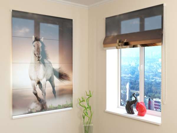 Roman blind: HORSE