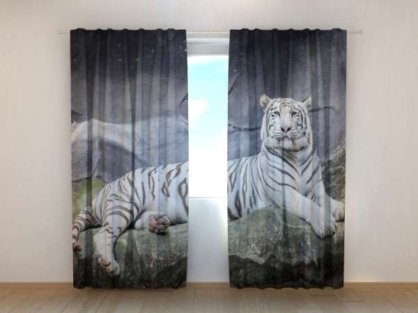 Photo curtain: WHITE TIGER ON A ROCK