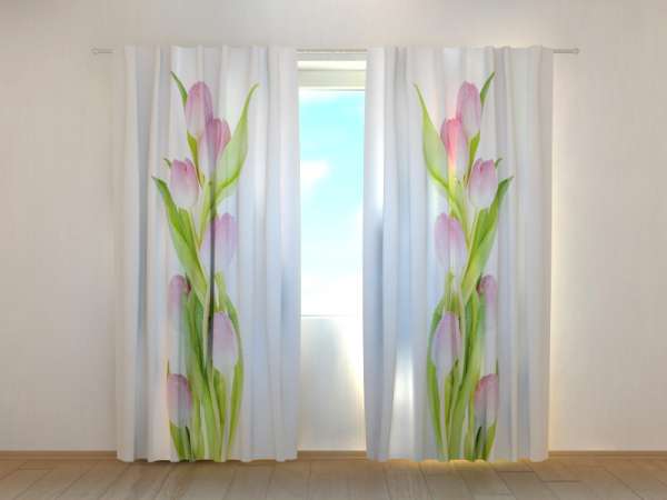 Photo curtain: AMAZING PINK TULIPS