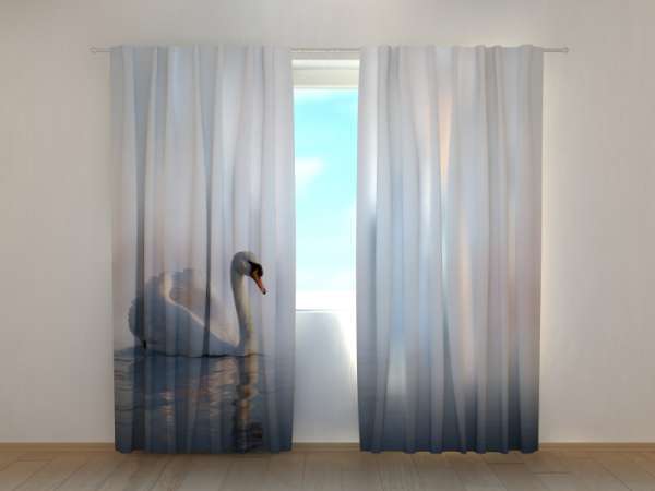 Photo curtain: SWAN FLOATING AT SUNRISE