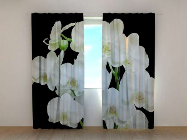 Photo curtain: YIN YANG ORCHID