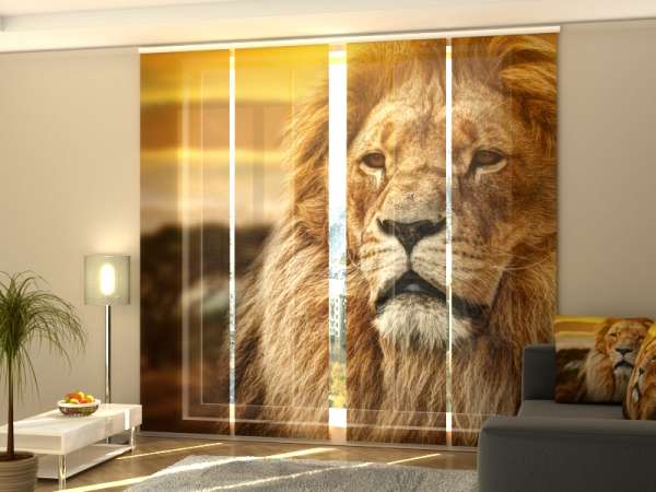 Sliding panel curtain (1-4 pts.): LION IN SAVANNA