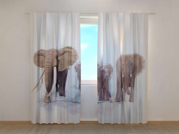 Photo curtain: ELEPHANT FAMILY