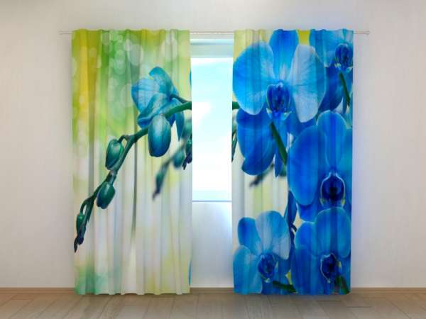 Photo curtain: ROYAL ORCHID