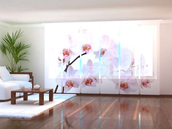 Sliding panel curtain (1-6 pts.): SNOW-WHITE ORCHID