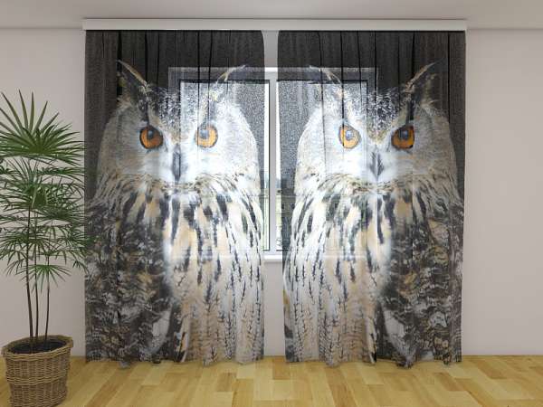 Chiffon curtain: ATTENTIVE OWL