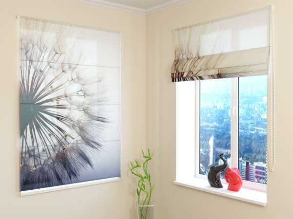 Roman blind: AMAZING DANDELION