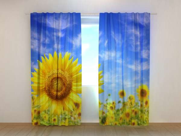 Photo curtains: SUNFLOWERS IN SUMMER