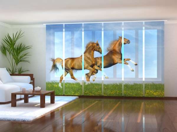 Sliding panel curtain (1-6 pts.): FAST HORSES