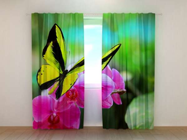 Photo curtain: BRIGHT COLOURS