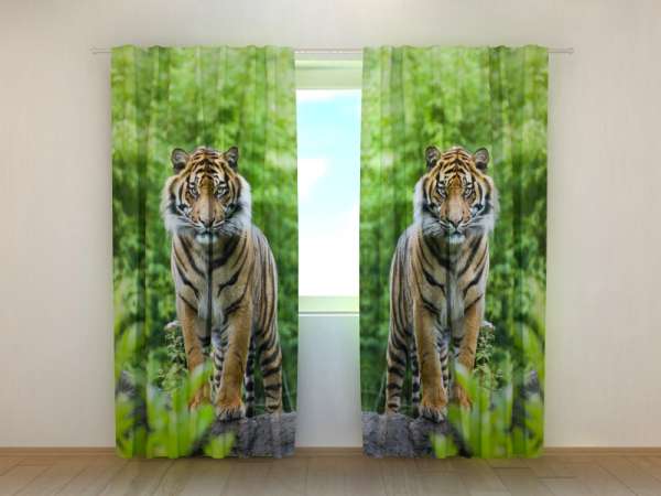 Photo curtain: TWO TIGERS