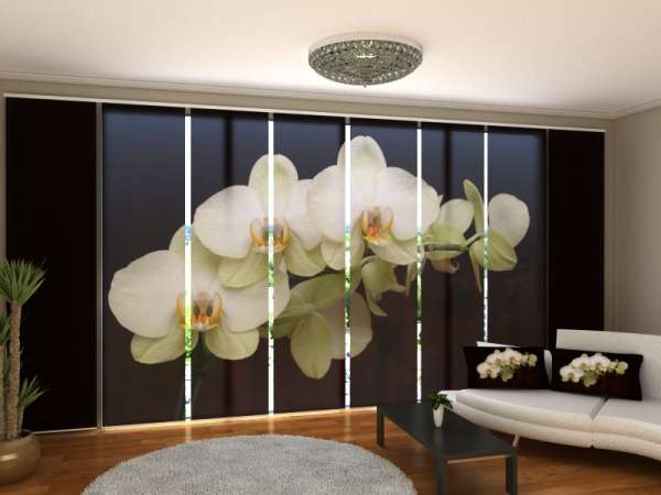 Sliding panel curtain (1-8 pts.): AMAZING WHITE ORCHID