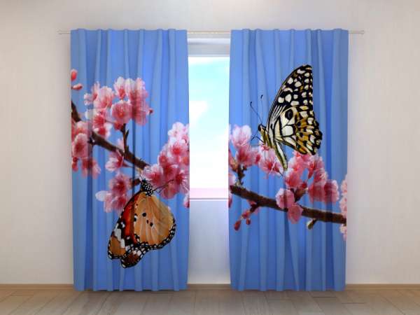 Photo curtain: TWO BUTTERFLIES