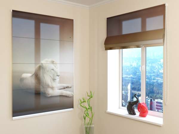 Roman blind: WHITE LION