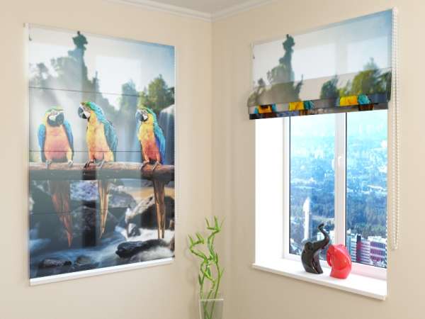 Roman blind: THREE PARROTS