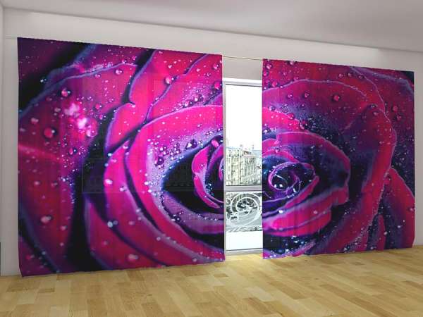 Panoramic curtain: ROSE OF LOVE