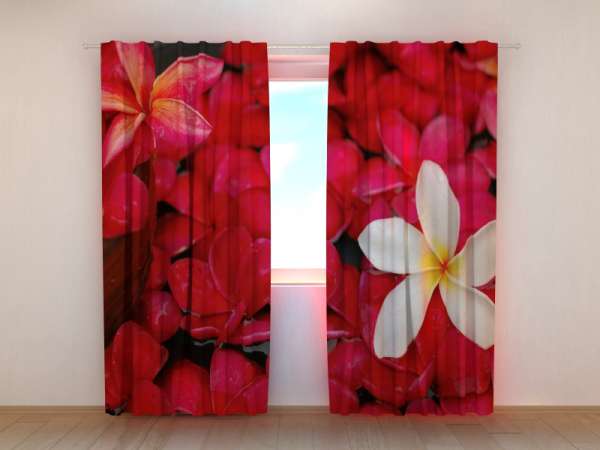 Photo curtain: SCARLET FLOWERS