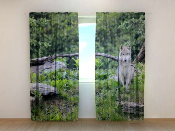 Photo curtain: WOLF