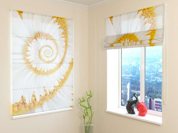 Roman blind: SNAIL CHAMOMILES