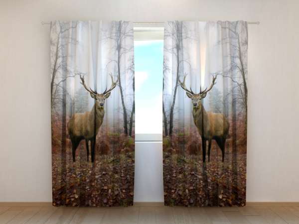 Photo curtain: DEER IN THE FOREST