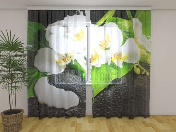 Chiffon curtain: ORCHIDS WITH STONES YIN YANG