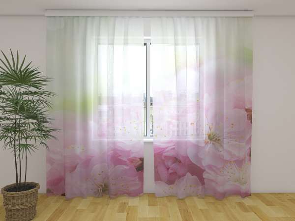 Chiffon curtain: FLOWERS OF SWEET CHERRY