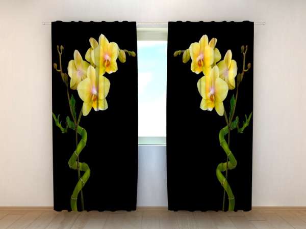 Photo curtain: DUET OF BAMBOO AND ORCHID