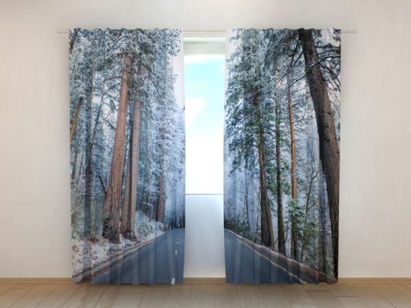 Photo curtain: ROAD IN SNOW-COVERED FOREST