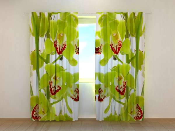 Photo curtain: ORCHID LIANA