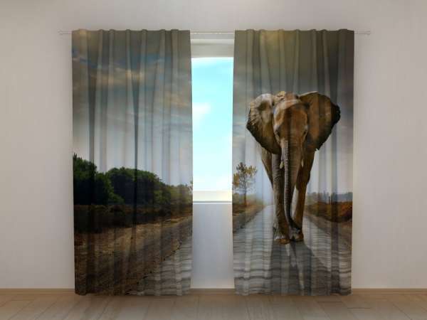 Photo curtain: IMPERIAL ELEPHANT