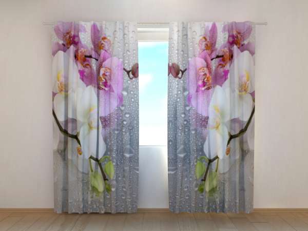 Photo curtain: ORCHIDS AND RAIN