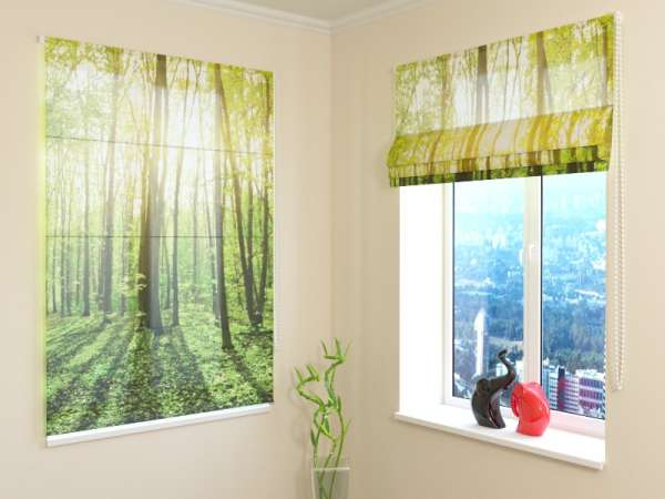 Roman blind: SUN RAYS IN FOREST 2