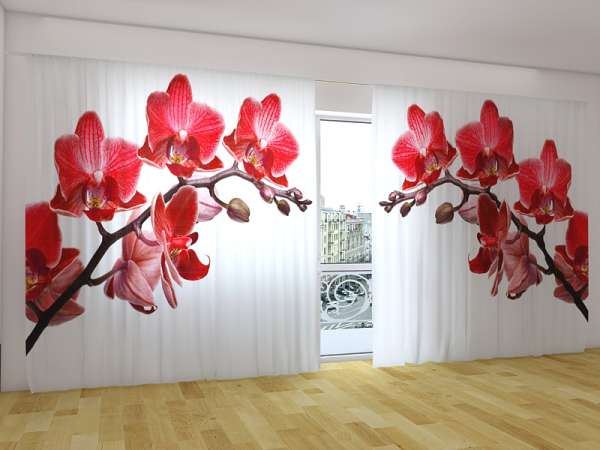 Panoramic curtain: QUEEN OF ORCHIDS