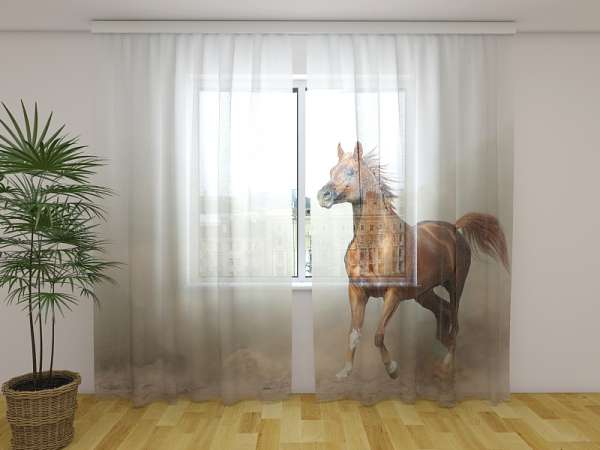 Chiffon curtain: ARABIAN STALLION IN PRAIRIES