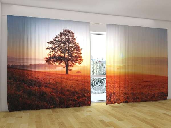 Panoramic curtain: SUNSET AND TREE