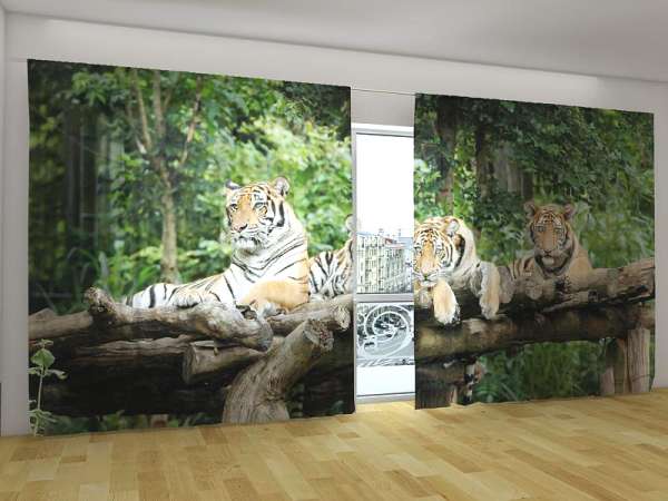 Panoramic curtain: YOUNG TIGERS