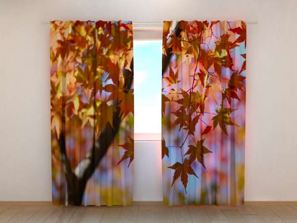 Photo curtain: MAPLE LEAVES