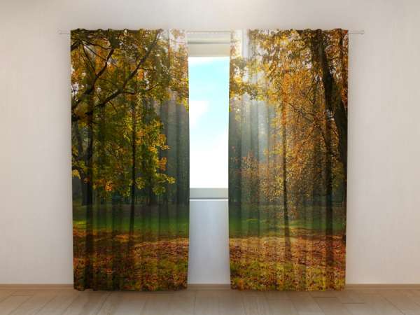 Photo curtain: AUTUMN IN THE PARK
