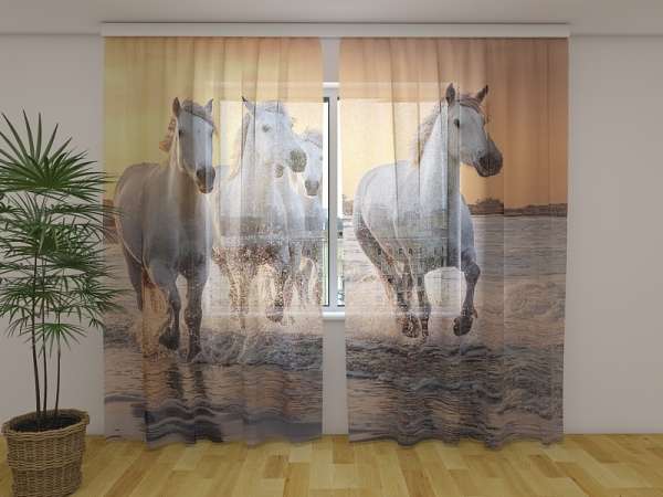 Chiffon curtain: WHITE HORSES GALLOPING AT SUNSET IN FRANCE