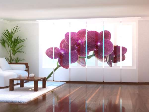 Sliding panel curtain (1-6 pts.): PURPLE HAPPINESS