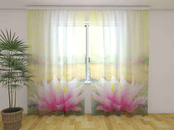 Chiffon curtain: PINK LOTUS AT A MORNING SUN