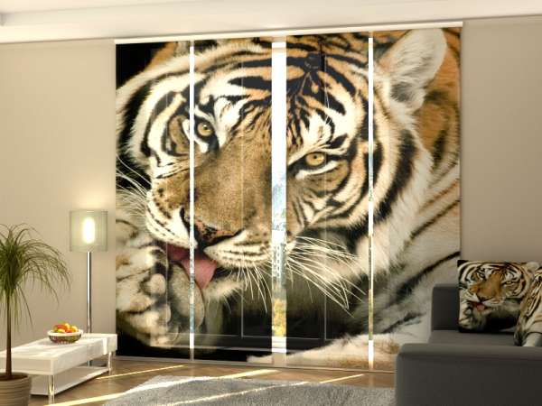 Sliding panel curtain (1-4 pts.): PRETTY TIGER