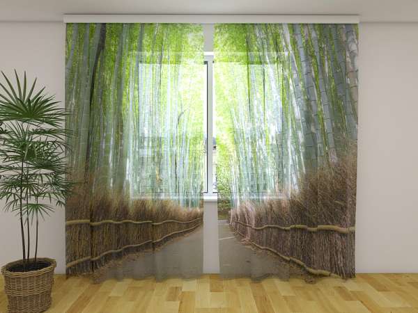 Chiffon curtain: BAMBOO FOREST IN KYOTO