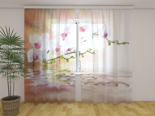 Chiffon curtain: PERFECT ORCHID